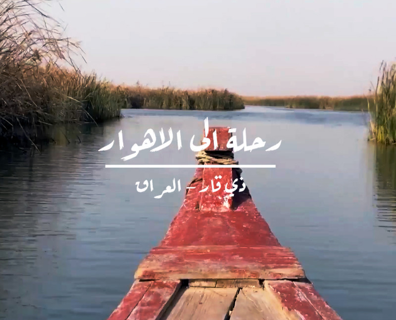 Trip to marshes
Director Mustafa Zaki Al darraji
Crisis reporting
Iraq